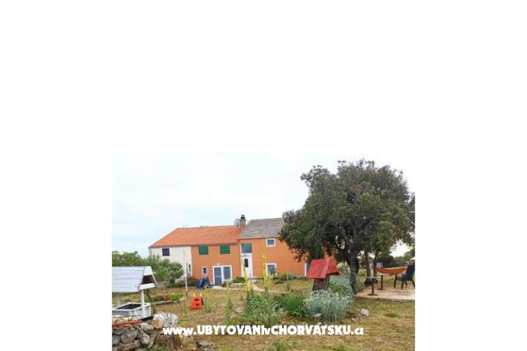 App Bonić – photo 103