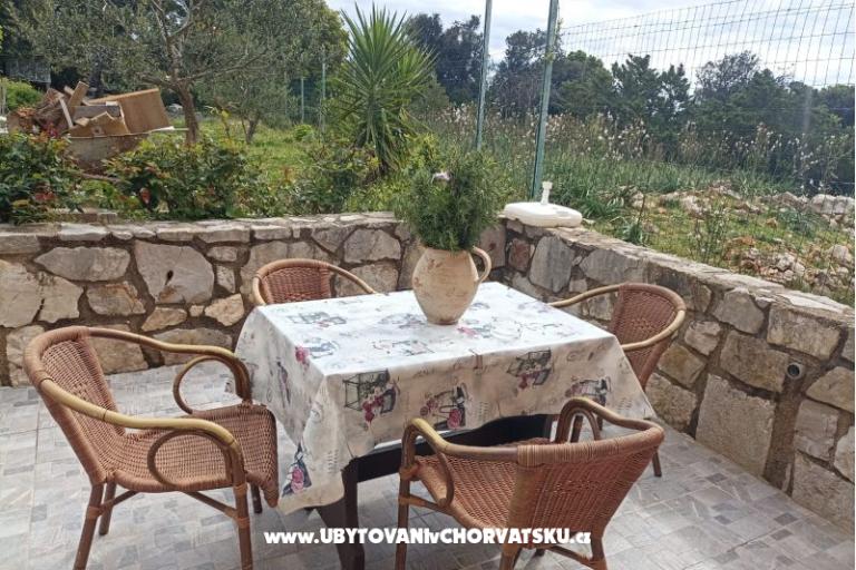 App Bonić – photo 104