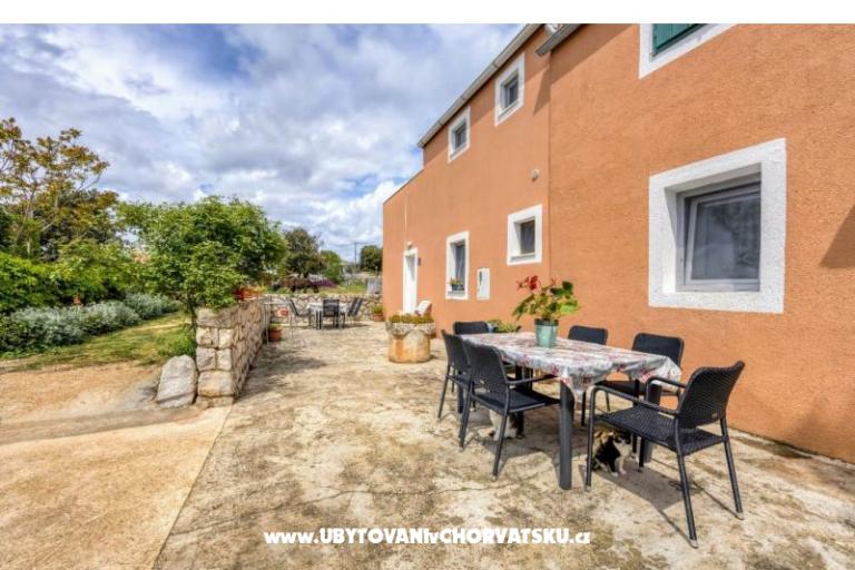 App Bonić – photo 130