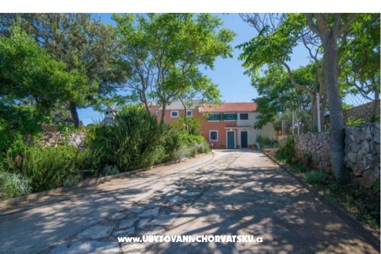 App Bonić – photo 143