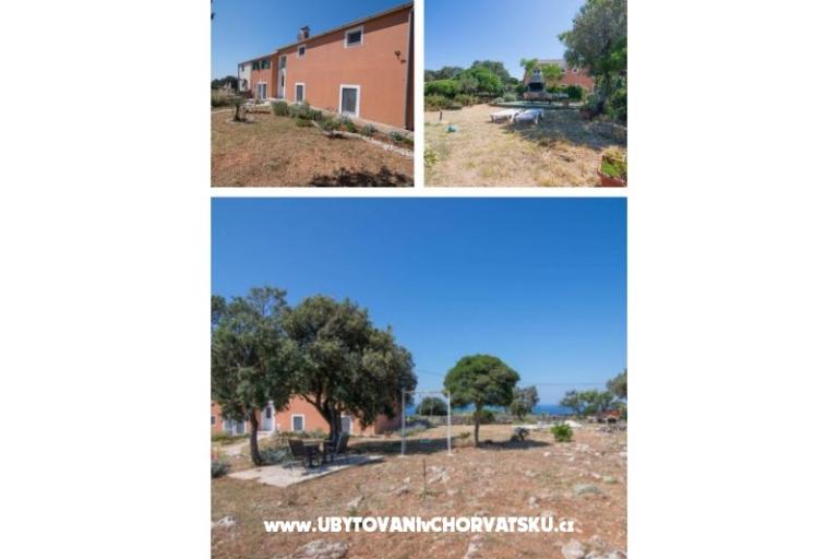 App Bonić – photo 16