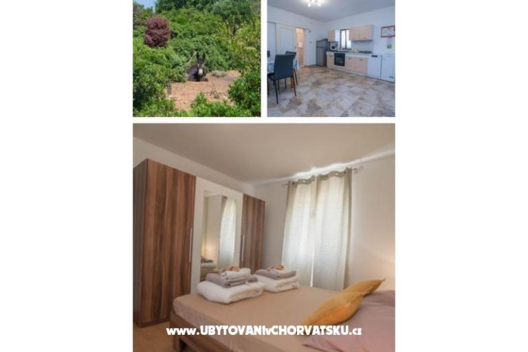 App Bonić – photo 2