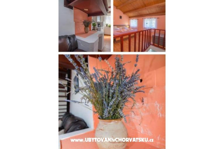 App Bonić – photo 24