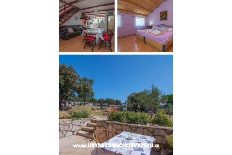 App Bonić – photo 25