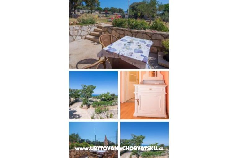 App Bonić – photo 26