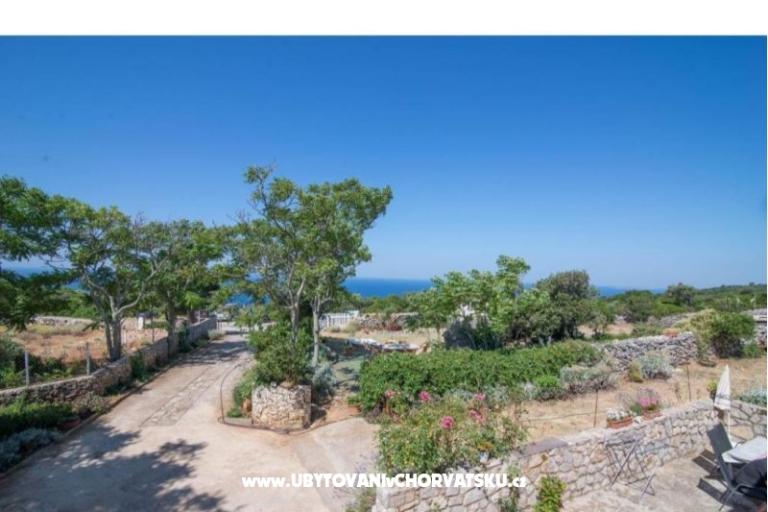 App Bonić – photo 28