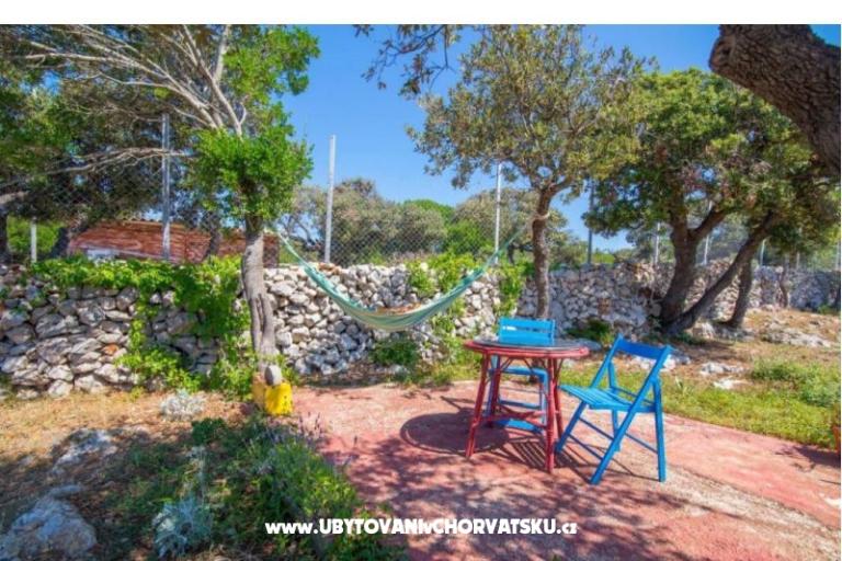 App Bonić – photo 32