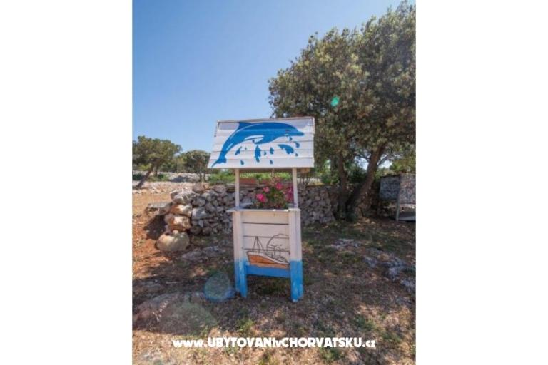 App Bonić – photo 33