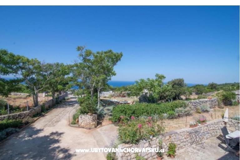 App Bonić – photo 34