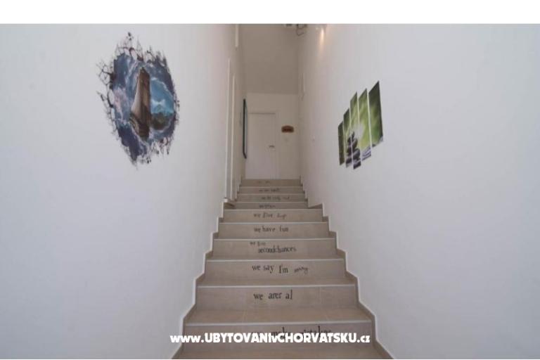 App Bonić – photo 36