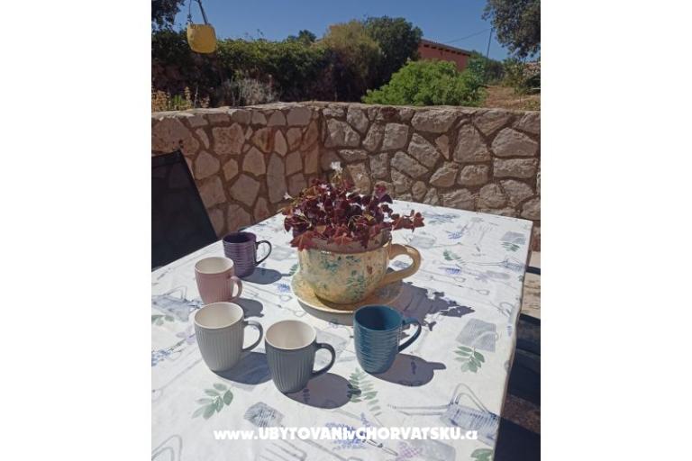 App Bonić – photo 58