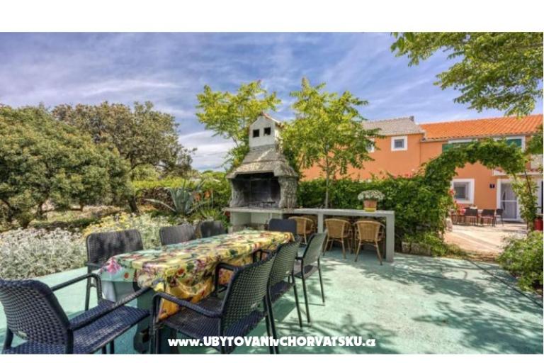 App Bonić – photo 60