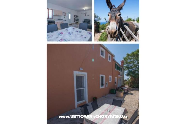 App Bonić – photo 7