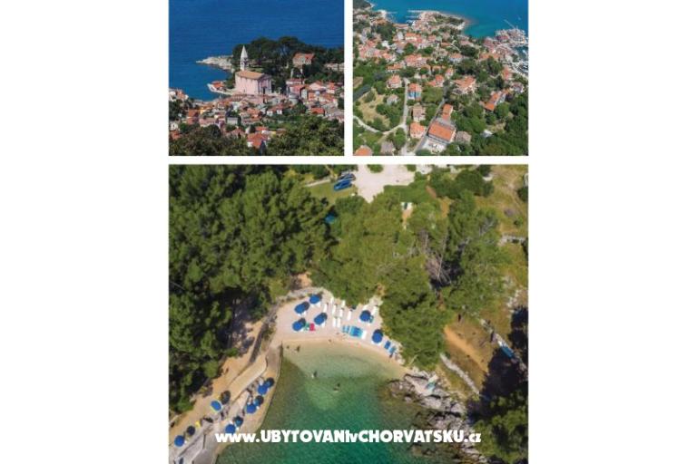 App Bonić – photo 72