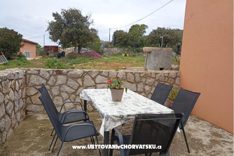 App Bonić – photo 83