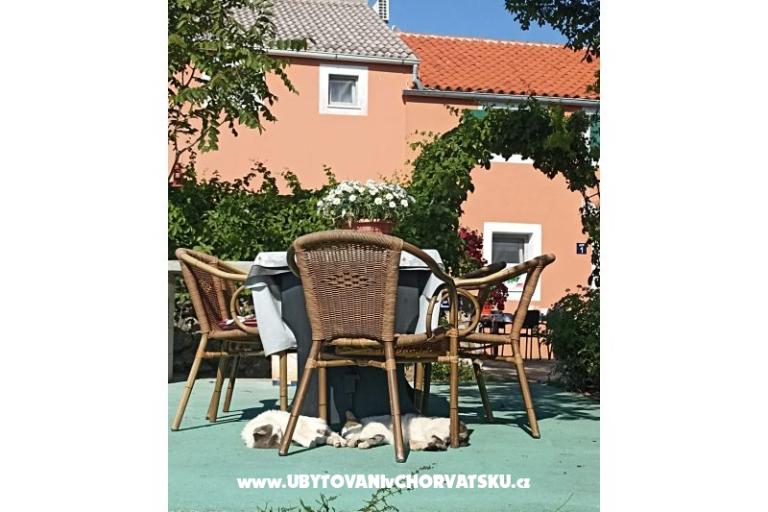 App Bonić – photo 85