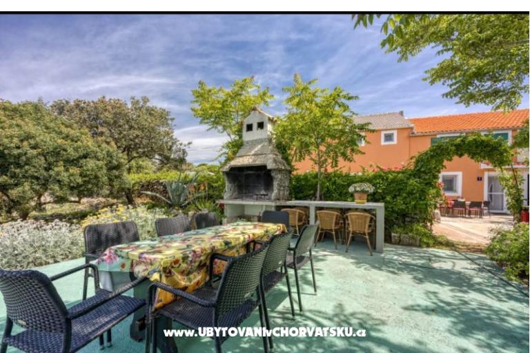 App Bonić – photo 91