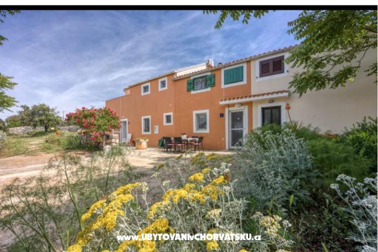 App Bonić – photo 94