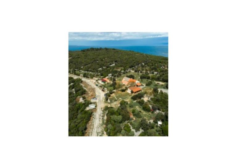 App Bonić – photo 97