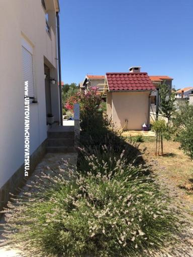 Apartments 3M Vir – photo 14