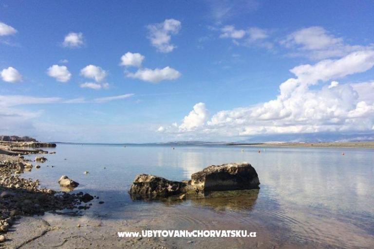 Alida apartmani Vir – photo 13