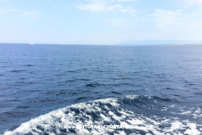 Apartment Bura – photo 9