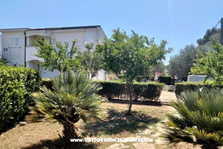 Apartments Budija / Viola – photo 10