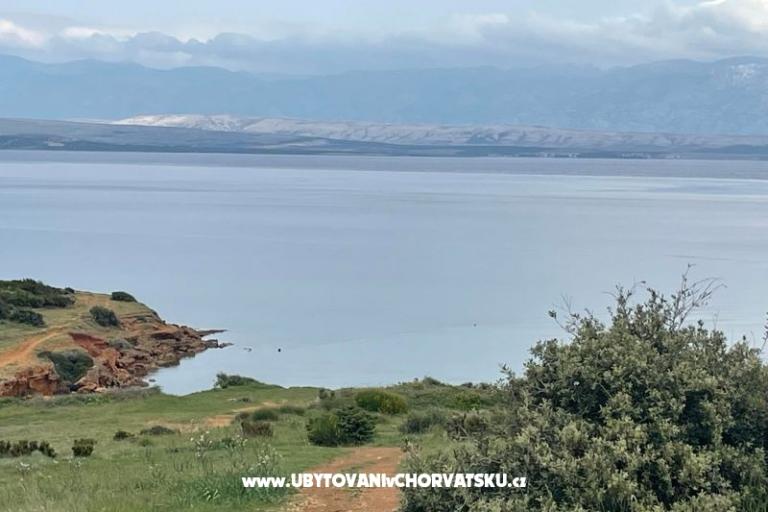 Apartments Budija / Viola – photo 11