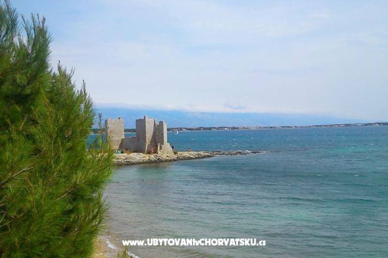 Apartments Budija / Viola – photo 12