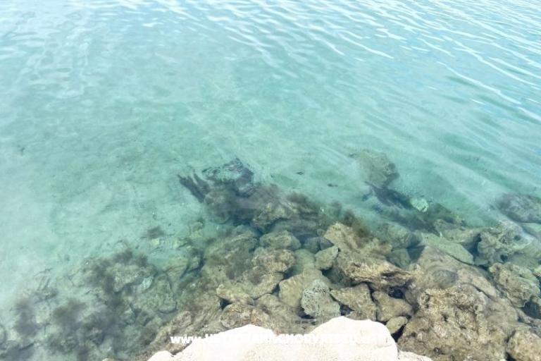 Apartments Budija / Viola – photo 13