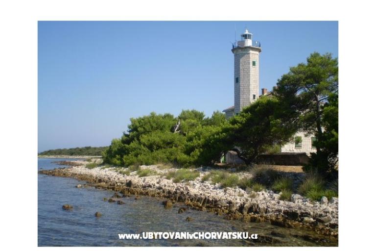 Apartments Budija / Viola – photo 15