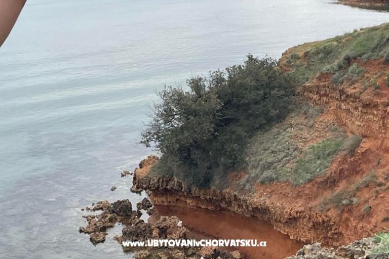 Apartments Budija / Viola – photo 16