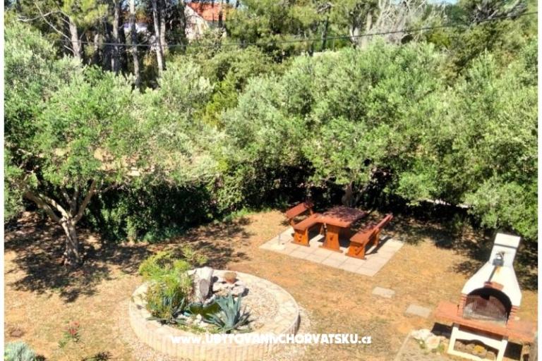 Apartments Budija / Viola – photo 3