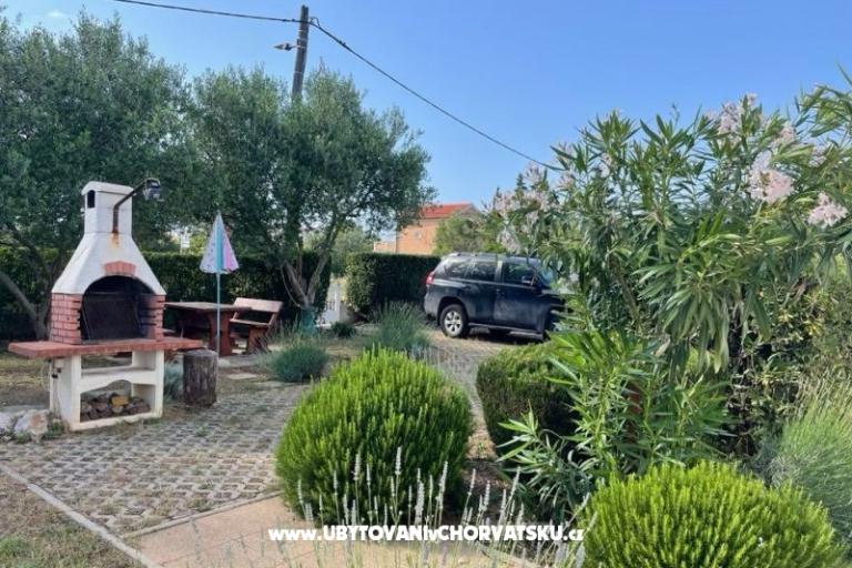 Apartments Budija / Viola – photo 4