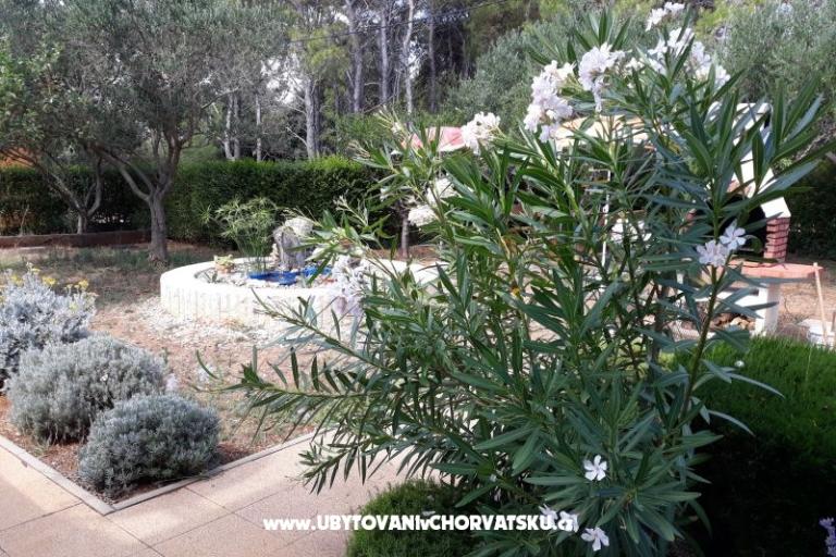 Apartments Budija / Viola – photo 5