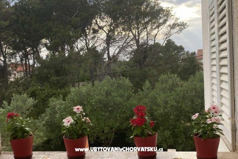 Apartments Budija / Viola – photo 7