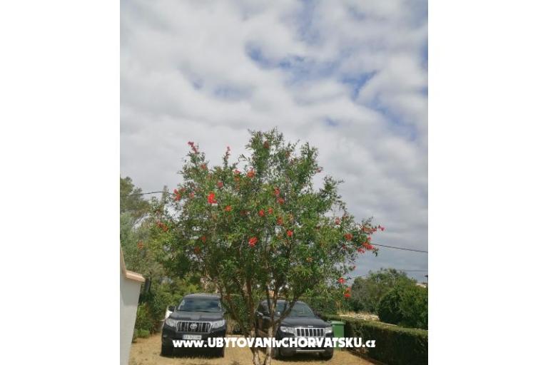 Apartments Budija / Viola – photo 9