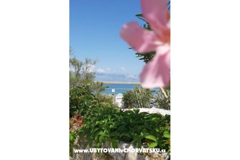 Apartments Knapić – photo 7