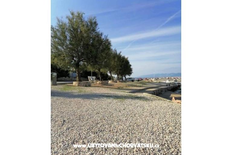 Apartments Kreć Lozice otok Vir – photo 13