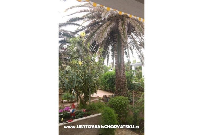 Apartments Milka Vir – photo 7