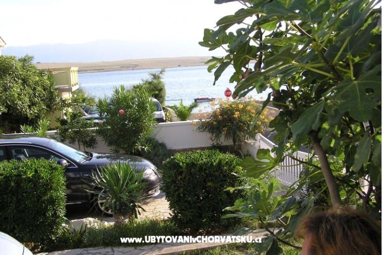 Apartment IVA - VIR – photo 11