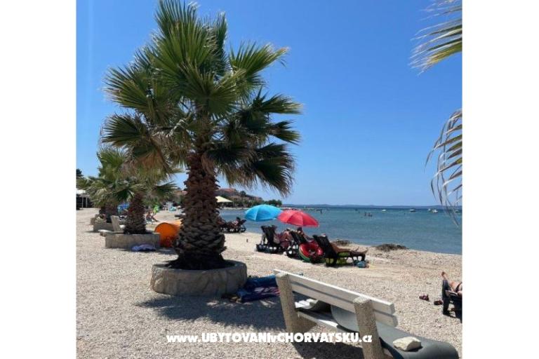 Apartment IVA - VIR – photo 13