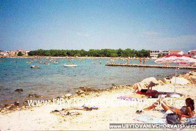 Apartments Radovic – photo 2