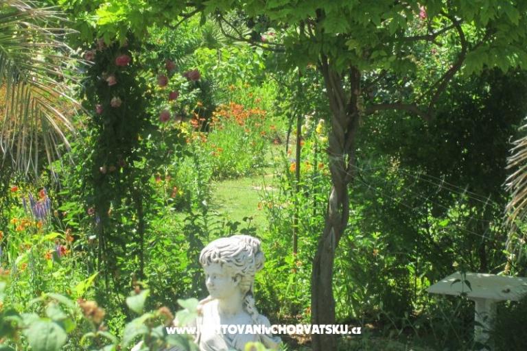 Apartments Pavlica – photo 16