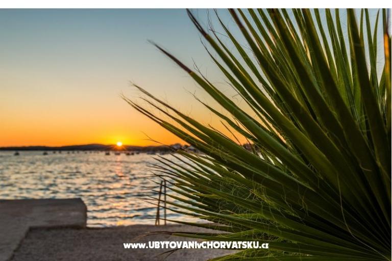 Apartments Kotaska – photo 12