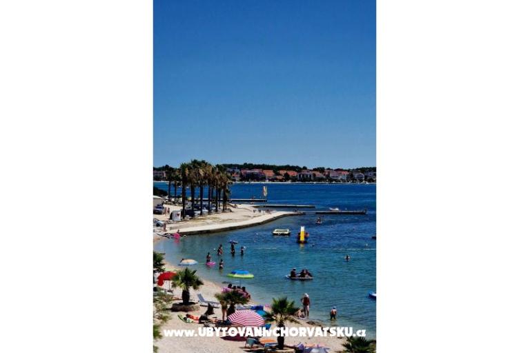 Dinary – photo 23