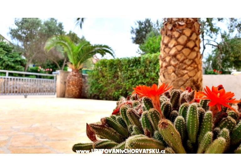 Happy Pineapple Apartments Vir – photo 6