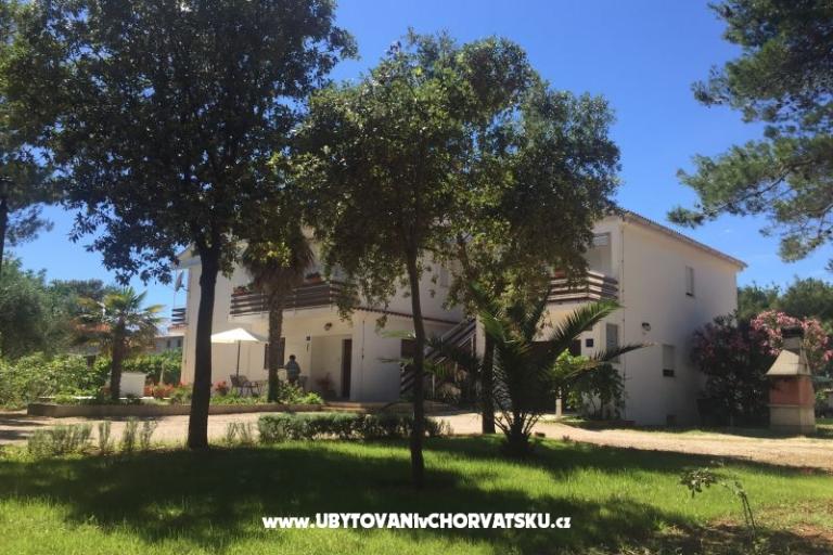 Apartments Liveric – photo 15