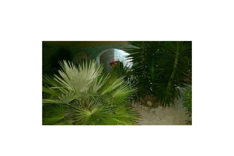 Vacation house Venus – photo 11