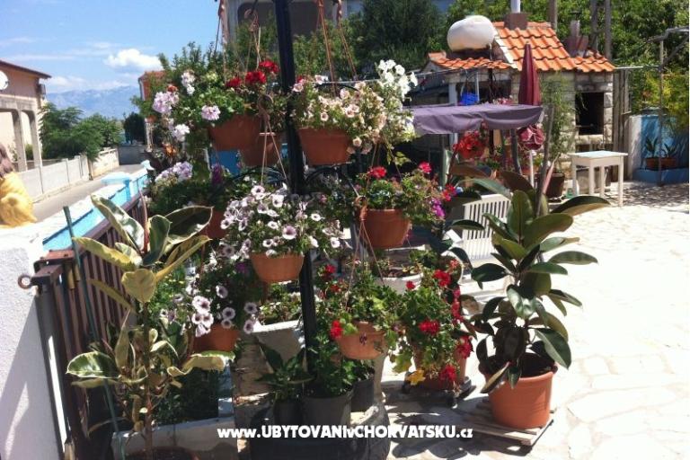 Petra apartmani – photo 11